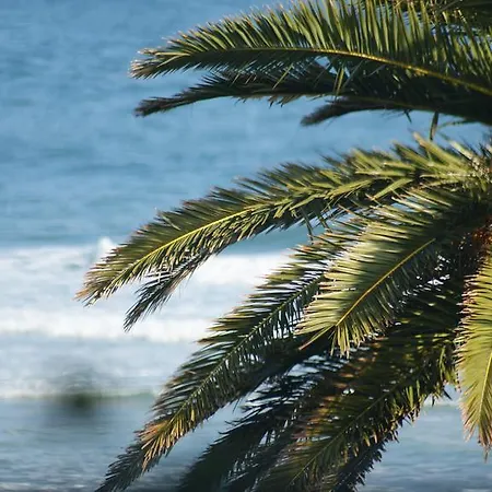 بيت ضيافة La Barrica *